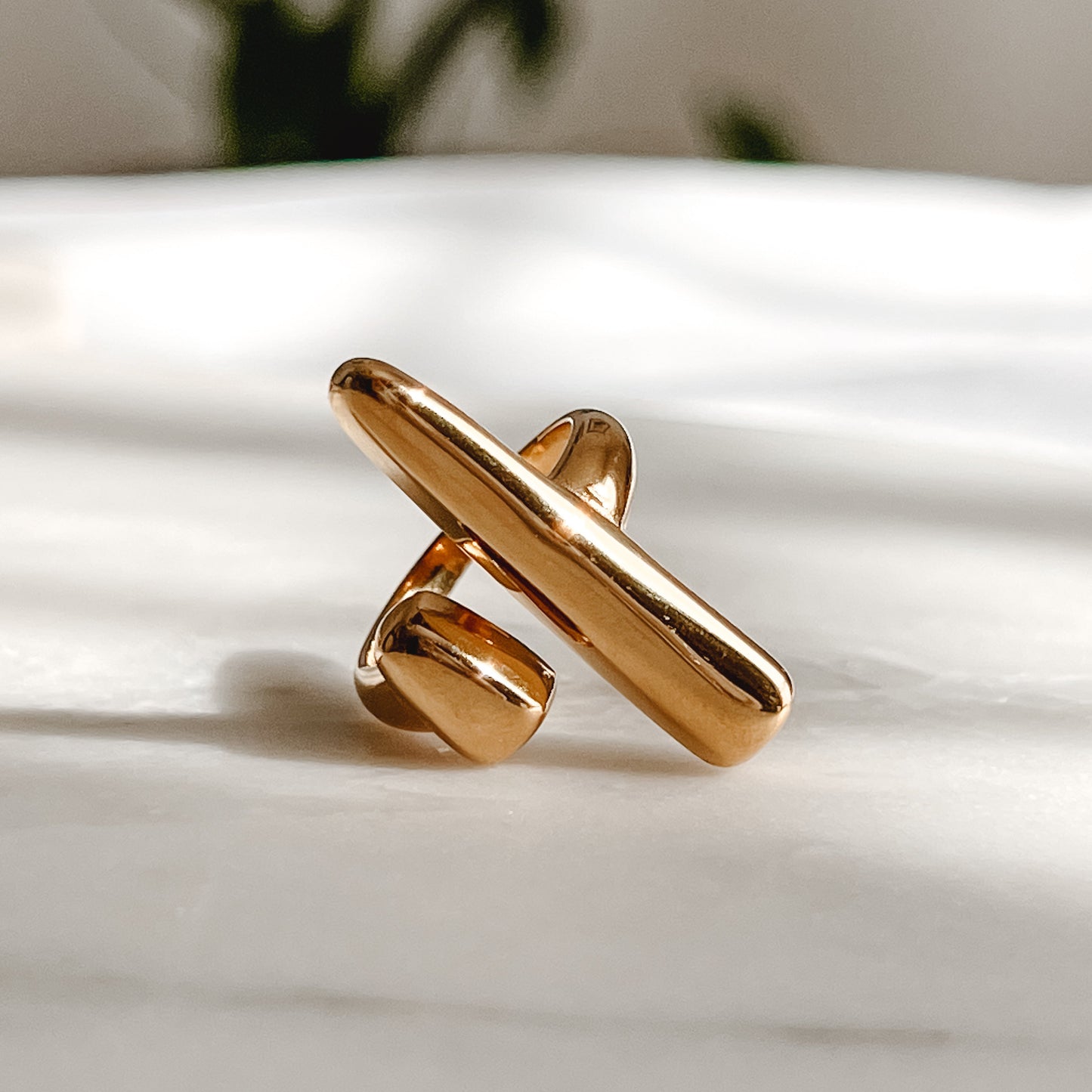 Ina Ring